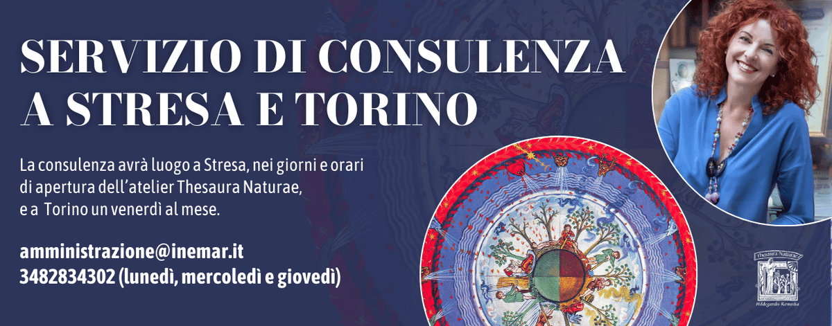 SERVIZIO DI CONSULENZA A STRESA E TORINO
