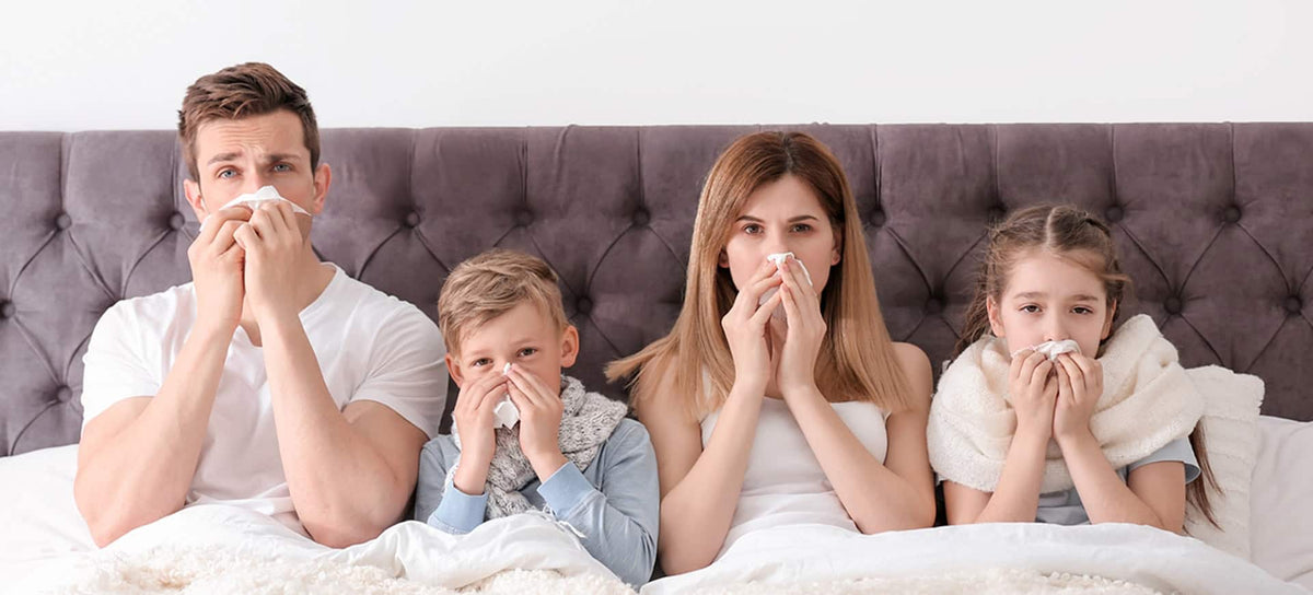 Thesaura Naturae Blog Approfondimenti Ildegarda Prevenire Influenza Stagionale Consigli