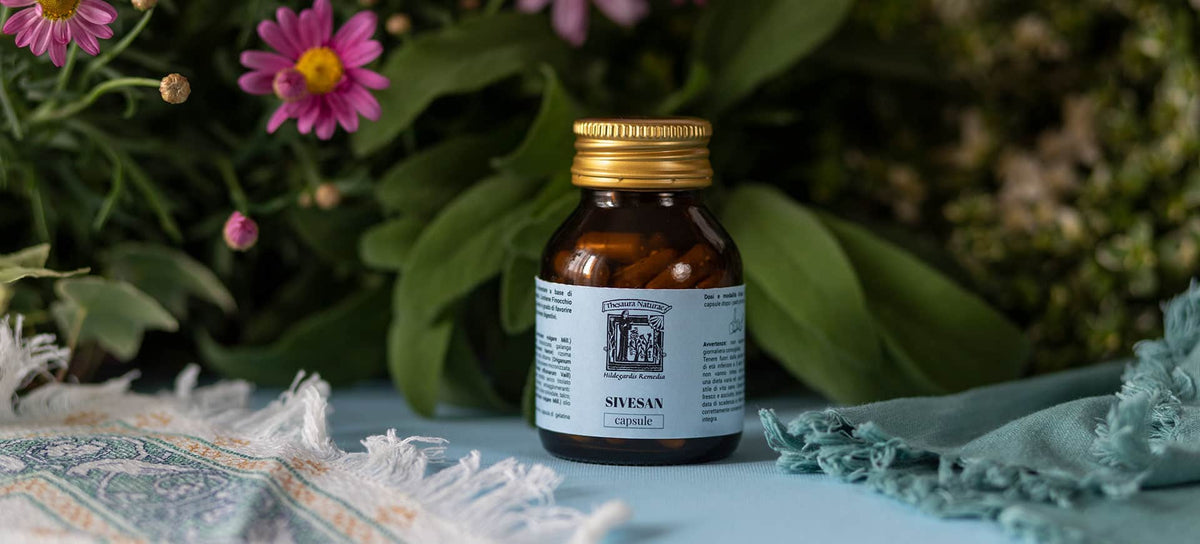 Thesaura Naturae Blog Digestione Secondo Ildegarda