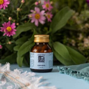Thesaura Naturae Ildegarda Ricette Ispirati Capsule Amovidol