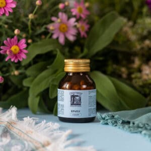 Thesaura Naturae Ildegarda Ricette Ispirati Capsule Epaflu