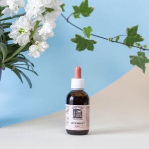 Thesaura Naturae Ildegarda Ricette Ispirati Gocce Artemisia
