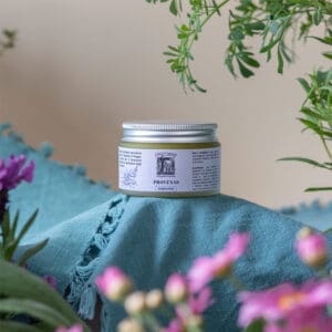 Thesaura Naturae Ildegarda Ricette Originali Unguenti Provenas